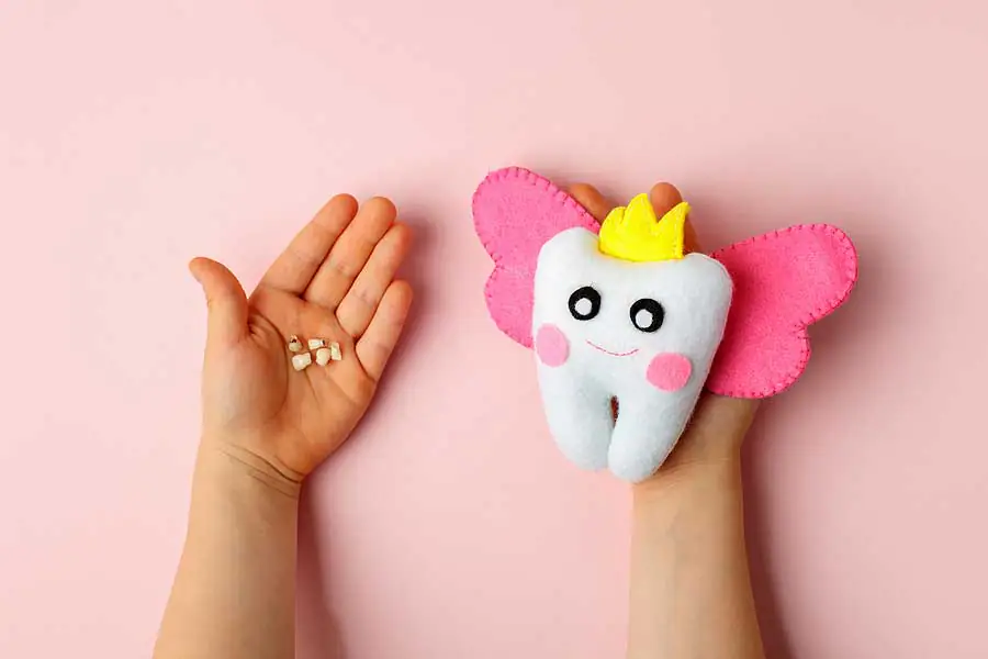 A child holding their baby teeth in one hand and a tooth fairy plush in the other hand